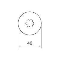 Radchen_Blute_Ausste