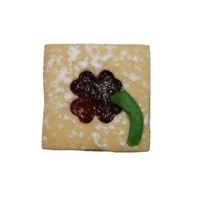 Quadrat_Gluckskleebl