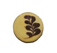 Radchen_GlatteAusste